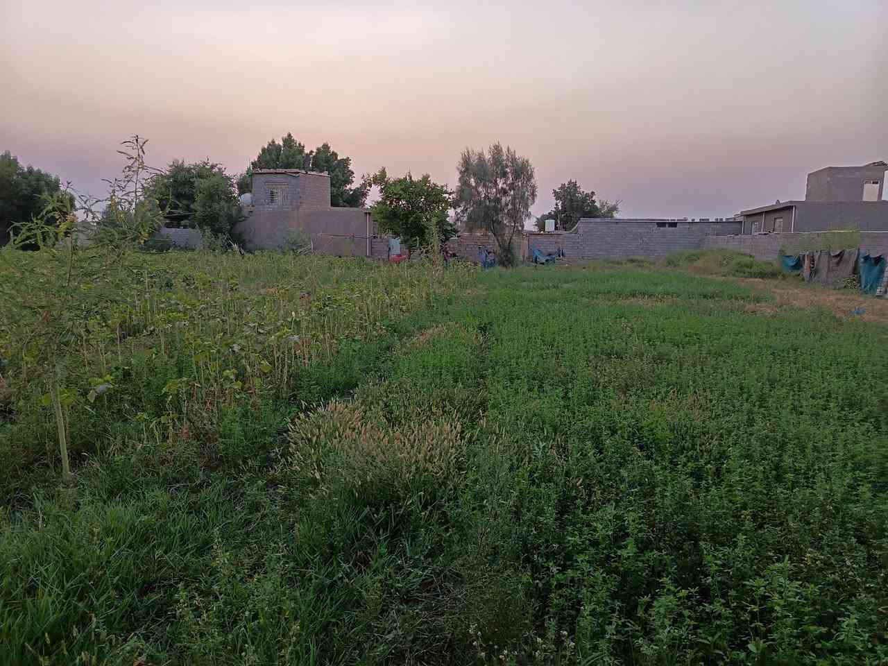 السلام عليكم بيت مع دونم للبيع.
المكان  ناحية الوحدة الخالصة بكاع المصرين خلف الحقول.
رقم التليفون ***********
