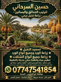 زراعة نخيل برحي • سقي بالتنقيط • ترتيب حدائق