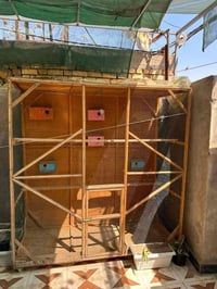 محميه • للطيور • ٢م×٢م×١م
