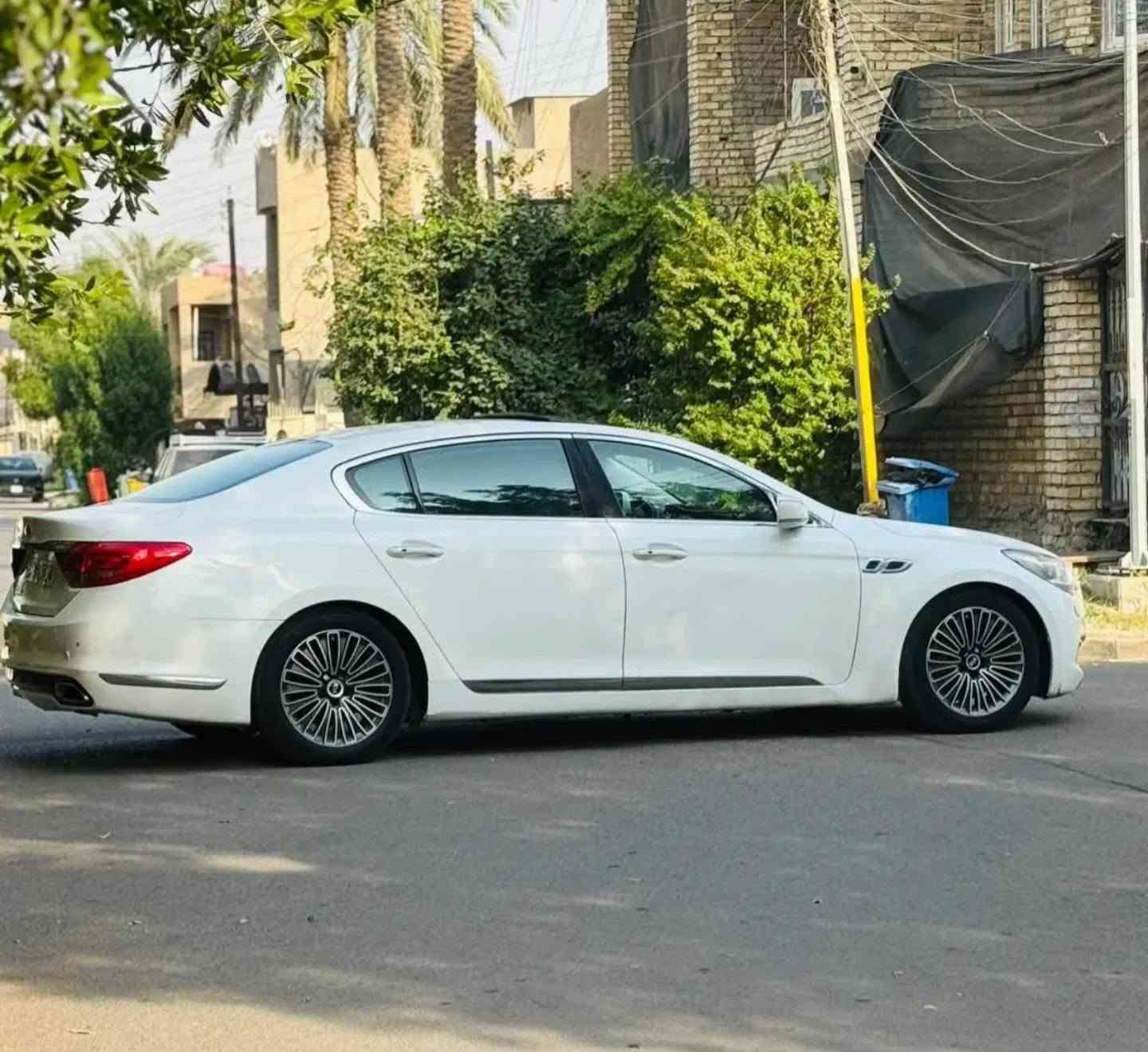كوريس • ٢٠١٤ • المحمودية
