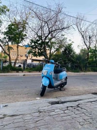 ماكس بوليس • مكفول • بحري رصاصي