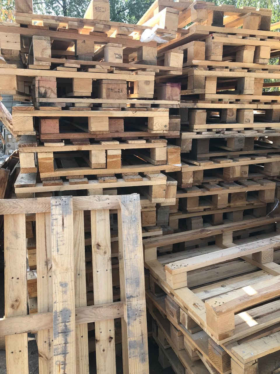 السلام عليكم متوفر سكيب 
80في120جديد 
ابيض مال فرش المكان بغداد سعر السكيبه 5 الاف
غير متواجد ع الفيس تريدهن خابر 
حازم ***********
احمد***********
