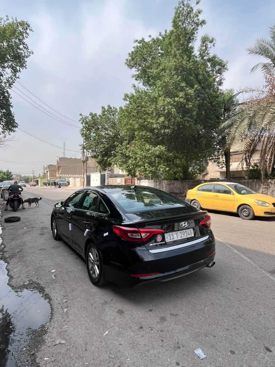 سوناتا ٢٠١٦ • وارد امريكي • صبغ ثلاث قطع