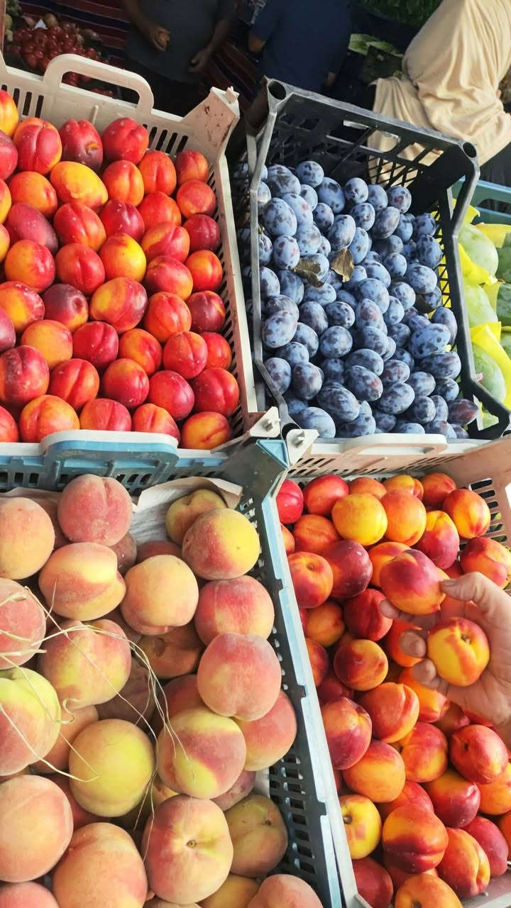 خضرة طازجة • فواكه موسمية • توصيل لحد الباب