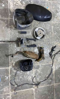 منغولي • فحل • تفصيخ