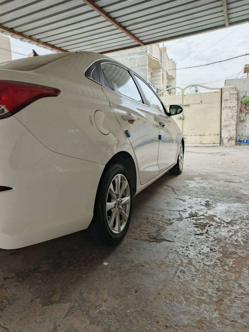 شنجان Lسفن • ٢٠٢٢ • كفالة عامة