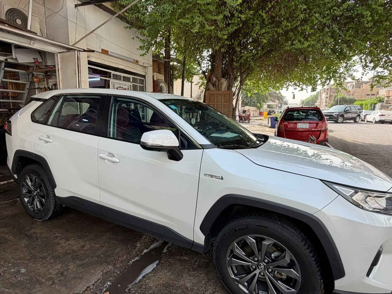راف فور هايبرد • ٢٠٢٣ • رقم بغداد
