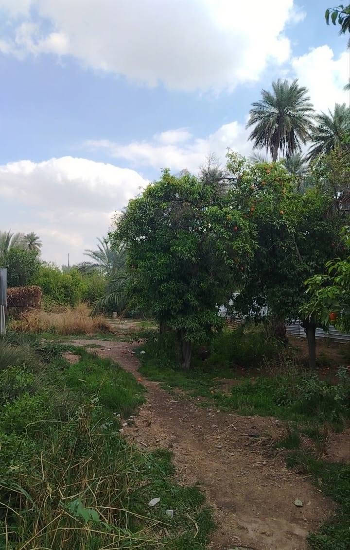 دونم وبيت للبيع الزعفرانيه شارع معمل بيبسي مخدون ومزروع شاطيه *********** السعر 210مليون
