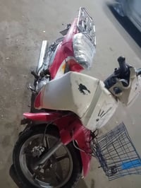 مجفت • جديد • نكره سلف