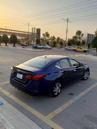 التيما • ٢٠٢٠ • رقم اربيل