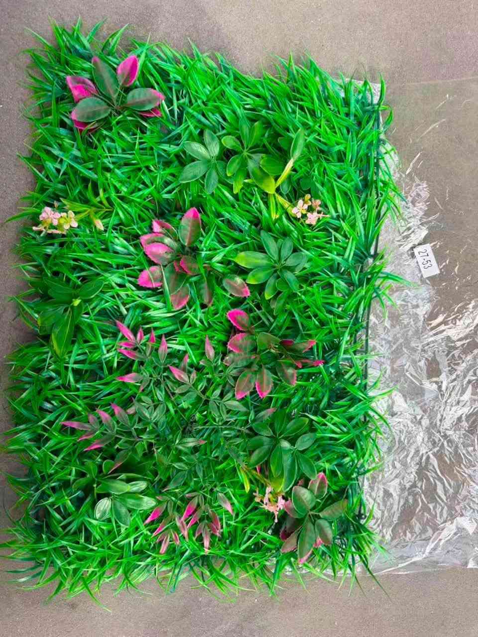 كارتون فقط 40&60   ورق شجره اصلي  استفسار هاتف ***********
