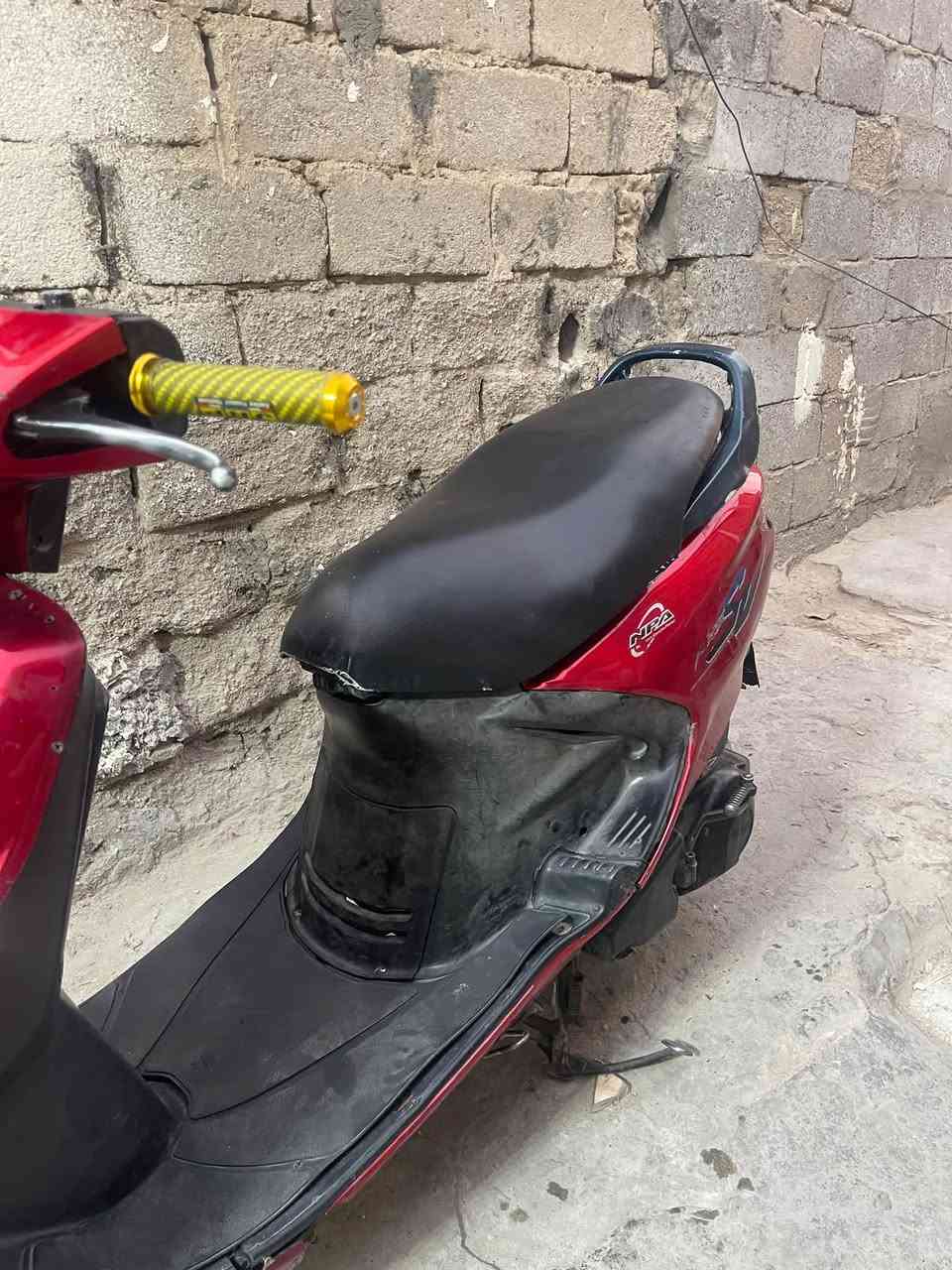 فراشه نثيه • ياباني • تجفيت عام