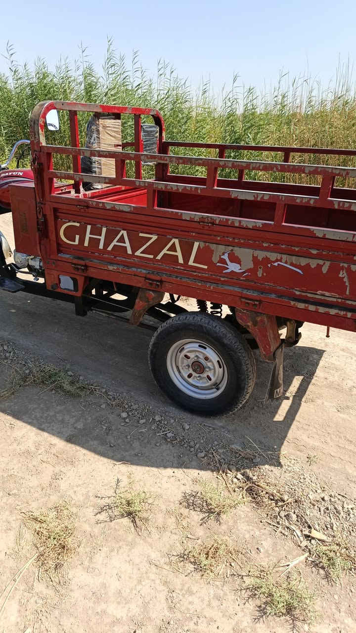 لبيع ستوته دايوان فحل موديل ٢٠٢٠
جديده عله وضع الشركه كلها بلاد محرك ٢٠٠ جديد

اكسل جديد كهربائياتها كلهن شغالات مكفوله كفاله عامه 

  اوراق كامله  ترايها وين مايعجبك  

تايرات جدد باتري جديد سلف هندر كلهن شغالات

 بلاديه فول ومكفول سعرها  خاص

 عنوانه ديالى قضاء الخالص اتصل على الرقم ودلل***********
