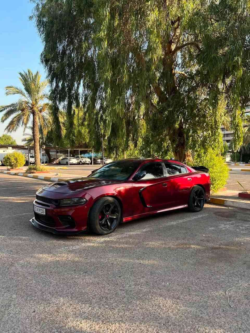SXT بلس • ٢٠١٩ • فور ويل ملغي