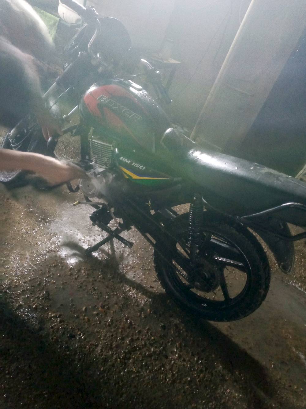 بوكسر • ٢٠١٩ • ايرانيه