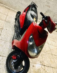 دراجه سكنس فحل نوزل للبيع سعر  400 بيهه مجال مكاني الشعله بغداد تصل عل...