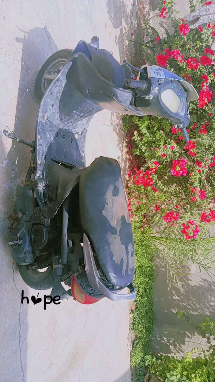 دراجه فراشه فحل للبيع الدراجه مبدل بس ولفات وبيها شلعه ومعدل تشك الكاع ماعيزه غير بس  كفرات وباتري السعر ٢٧٥ وبيها مجال قليل مكاني نجف مشخاب 
الشراي خاص او اتصل ***********

نص مكتوب في الصور:
- h❤pe
- h❤️pe