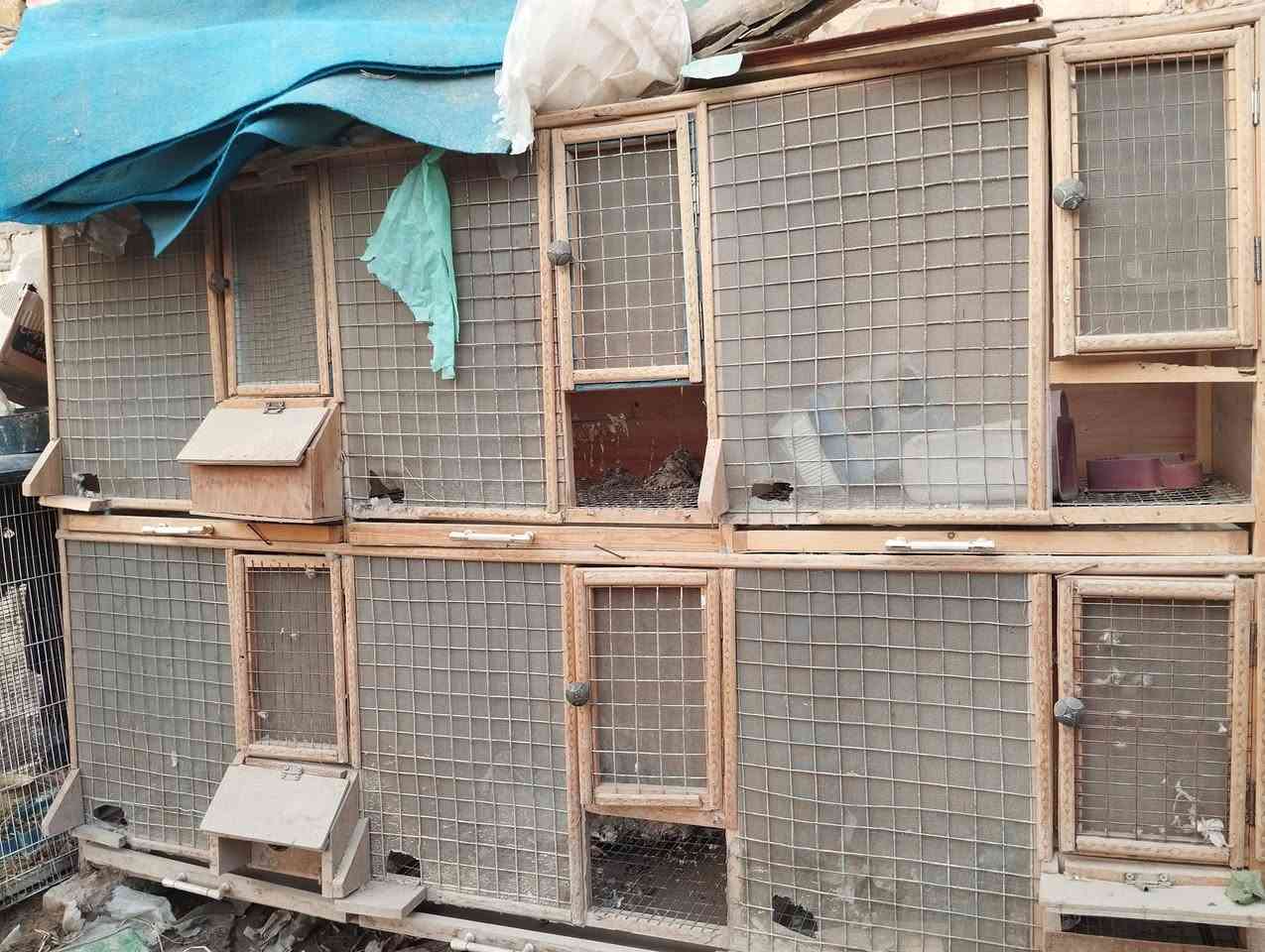 برج طيور • حمام ودجاج • نضافه