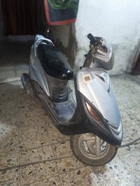 ثعلب • كوم حديد • طفت