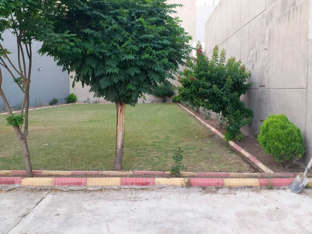 مستعدون لتاسيس وتصميم الحدائق وقص الثيل ومعالجة الاشجار المريضة للتواصل ***********-----***********

