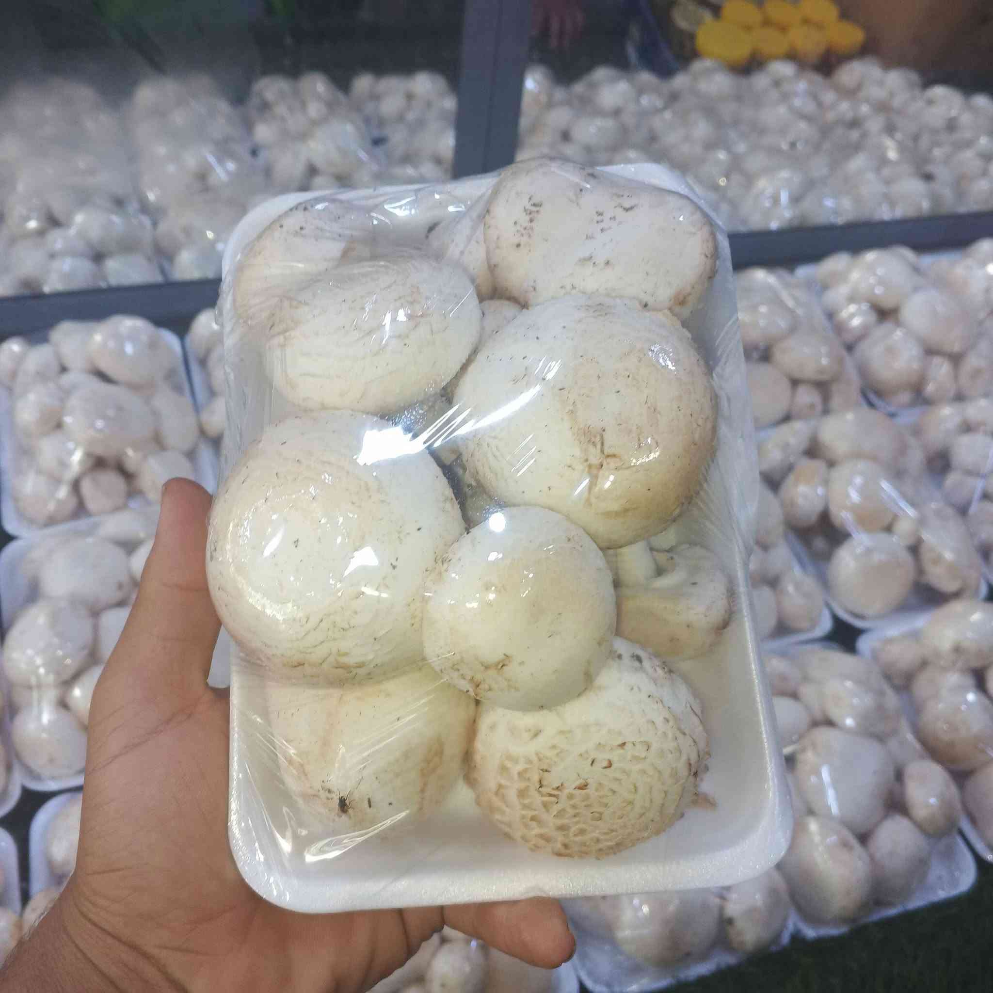 فطر هيتاوي • علوة حي المعلمين • توصيل هيت