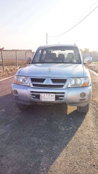 باجيرو • ٢٠٠٦ • صبغ عام