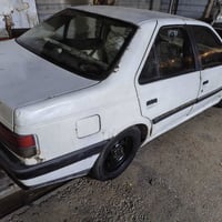 بيجو روئ • ٢٠٠٨ • النجف