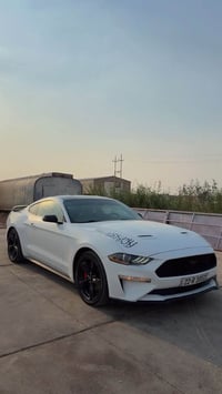 موستنك ايكو بوست • ٢٠٢٣ • ضرر خفيف