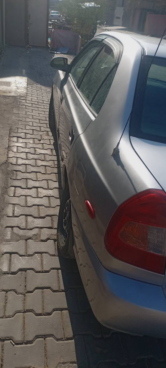 اكسنت فيرنا • اوتو • ١٦٠٠