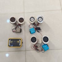 شغالة • استخدام قليل • بابل الهاشمية