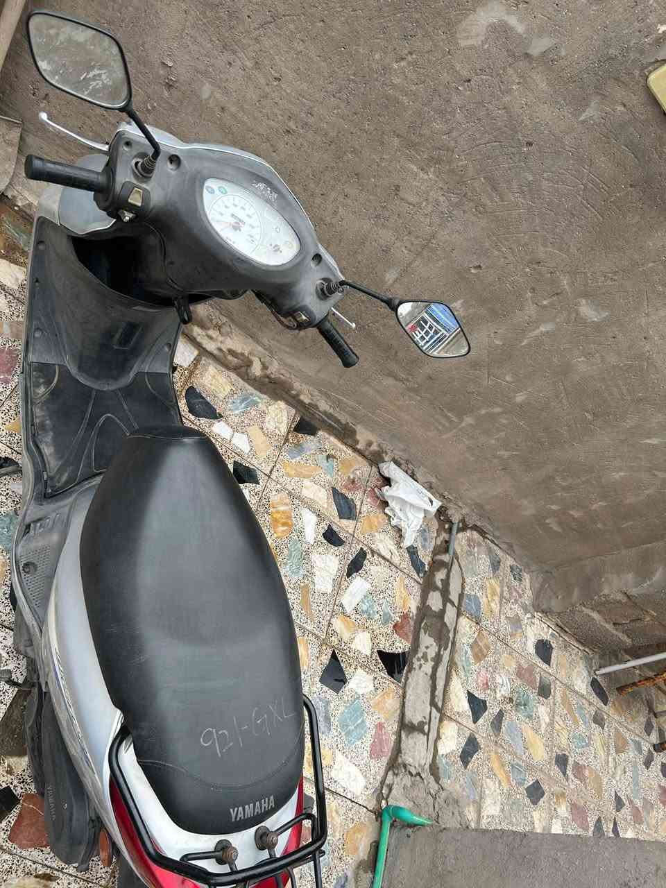 بريز ببغاء نوزل • ٢٠١١ • ١٢٥