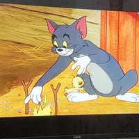 شاشة ٤٢ • تشغل نت • بغداد