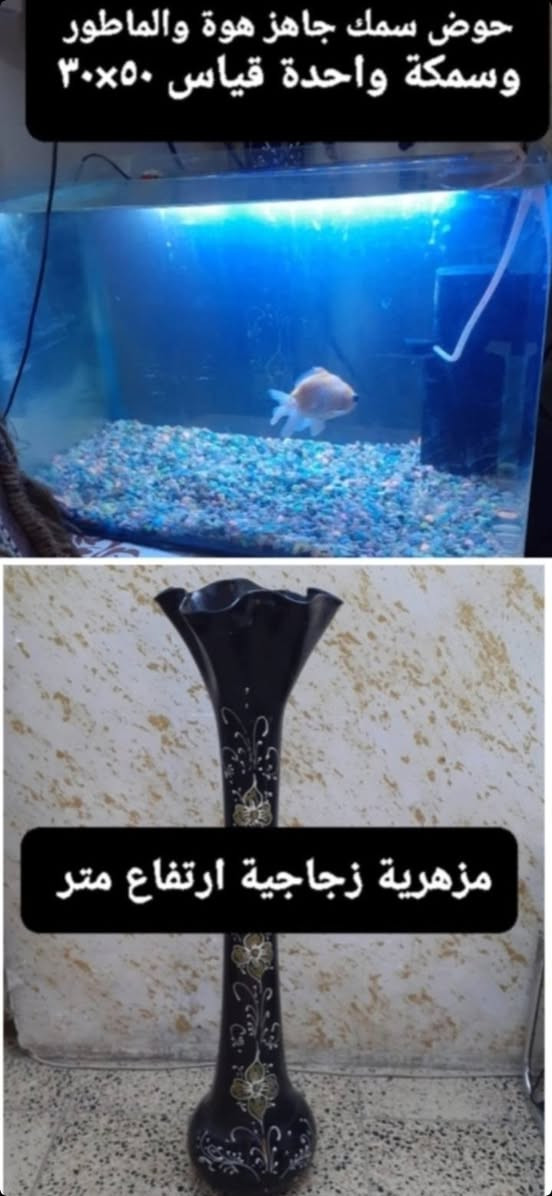 السلام عليكم  التفاصيل بالصورة  العنوان بغداد حي الخضراء هاتف *********** او ***********  او ***********
