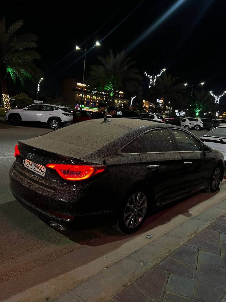 سوناتا • جديدة • تخبل
