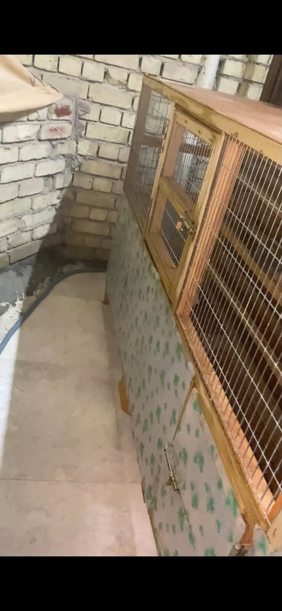 قفص جديد ومرتب 
عرض ٢ متر
وارتفاع متر و٢٠
المكان مدينة الصدر 
الرقم ***********
