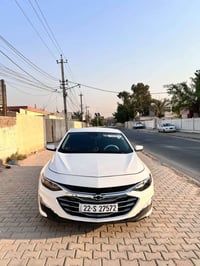 ماليبو • ٢٠٢٣ • رقم اربيل