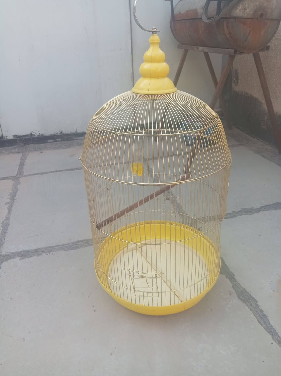 قفس طيور • ميز طعام • قدر ضغط