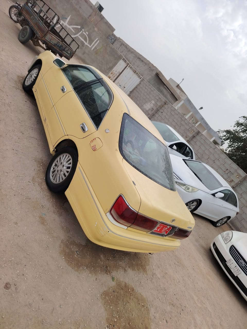 البيع او مراوس كفاله كص وضرب اقوي مكاني نجف ‏‪***********‬‏
