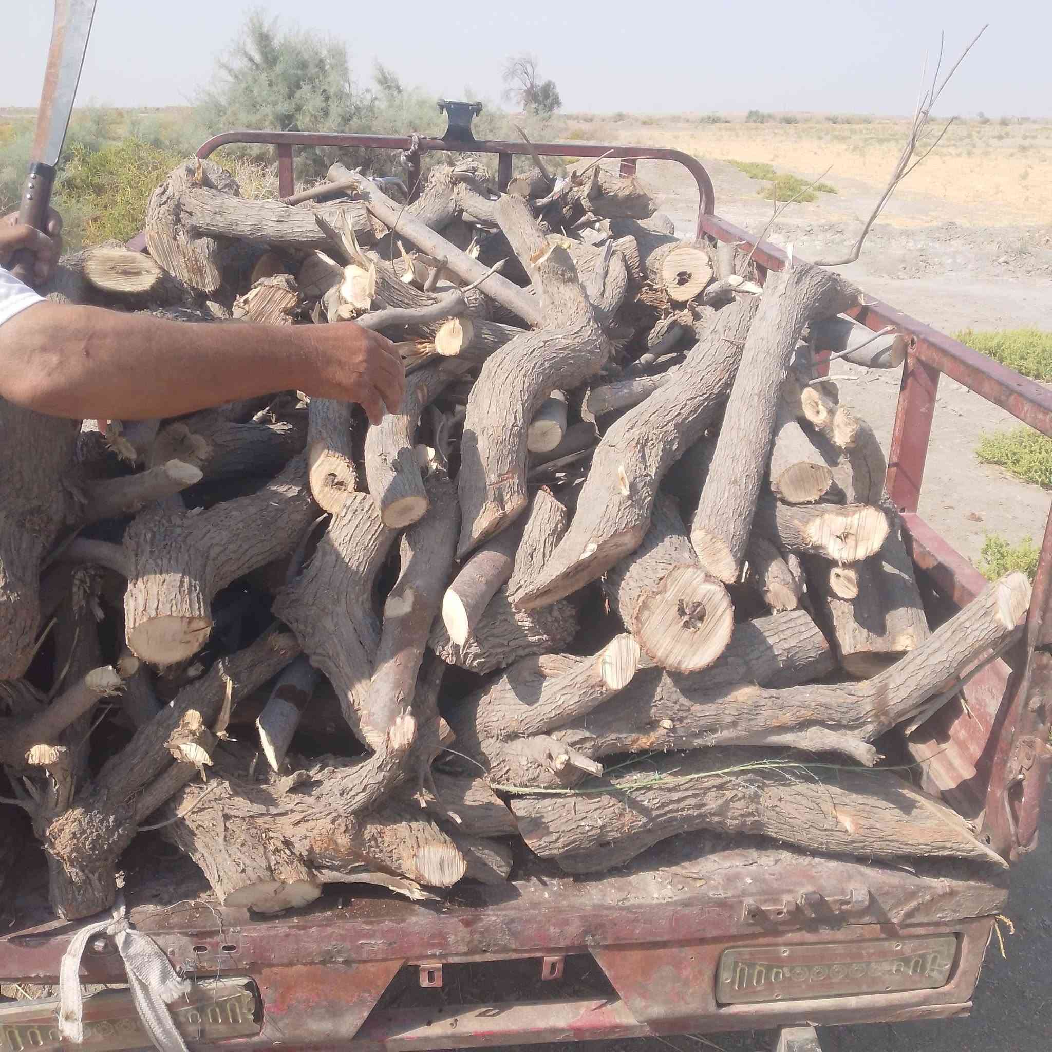 حطب • دانيه • ستوته