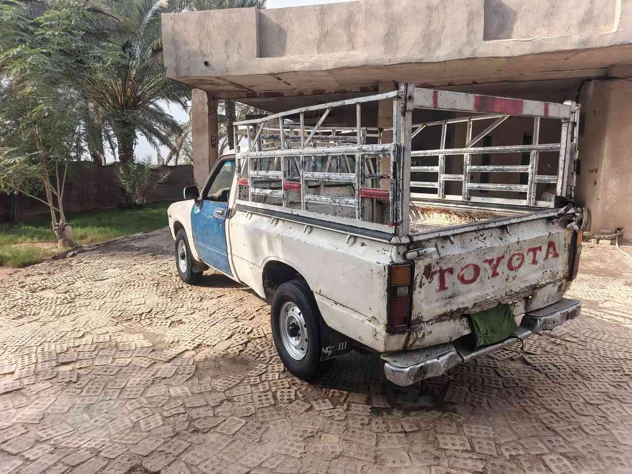 شاصي ٨٢ • مكفولات • رقم ديالى