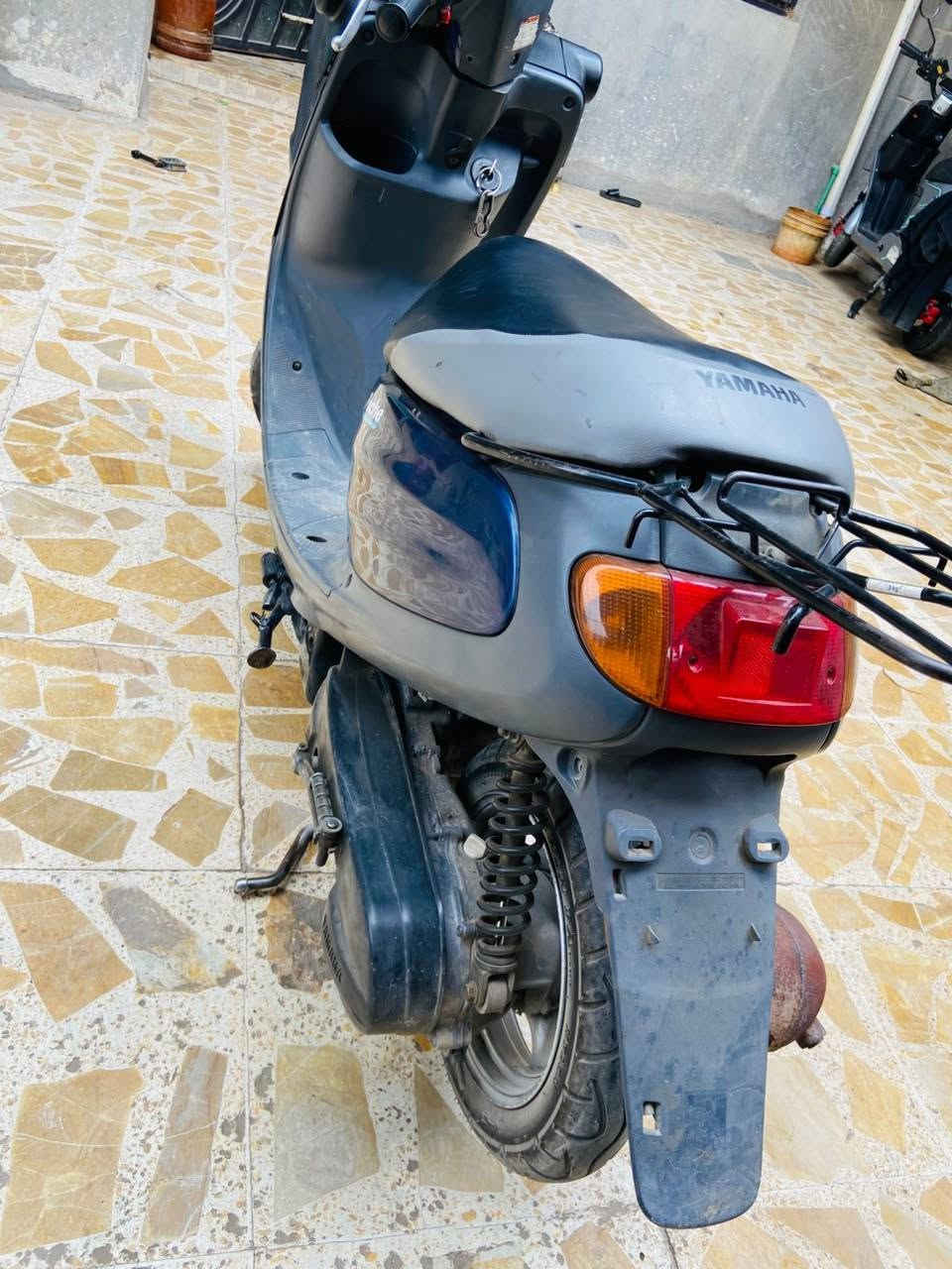 منغولي • جديده • شهرين