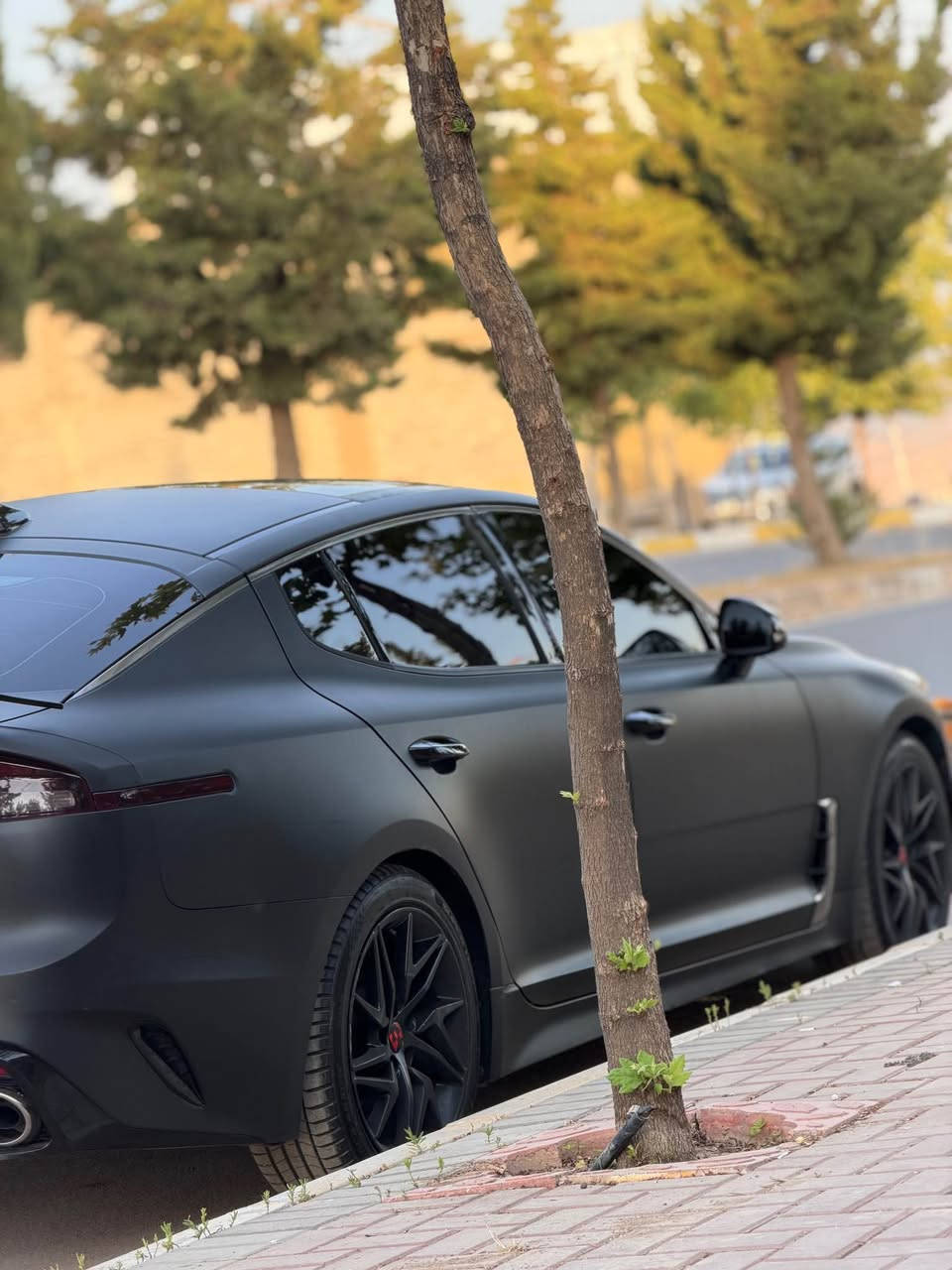 Kia Stinger GT-Line 2022
كيا ستینجر ٢٠٢٢ 
مواصفات-Gt-line,AWD
(بصمة-سقف بانوراما-كوشن كاهرباءِجلدوهيتر-ستيرن هيتر-شاحن وايرلس -Carplay-auto hold)
مكينة ٤سلندر+توربو حجم ٢.٥ لتر+دبل اكسل
ماشية37000ميل 
ضررها ٢قطع صبغ بدون دواخل ١قطع تبديل بيلادى
ايرباك ستيرن و دكمة سستم شركة
السيارة كلش حلوة و نظيفة
السيارة رقم اربيل و ب أسمنا و اكيد شرط التحويل 
مكفولة من كير و محرك و كهربائيات
رقم شانصى: knae35ld3n6115069
رقم تلفون:*********** شقلاوة, أربيل
