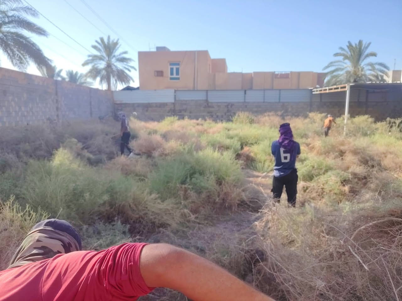 ***********📞سلام عليكم  /  يوجد كادر عمل جاهز /  تصعيد مواد /  تنضيف بيوت /  تفليش /  تكشيط /  دفن نهري /  شقلنه ليل ونهار /  ومعداتنه جاهزه  ومالك دخل بكلشي تأخذ شقل جاهز مني سلمني شقل وتأخذ شقل جاهز / ماعليك بس تصال على رقم ///  وسياره تجيك للبيت // وموجود واتساب
