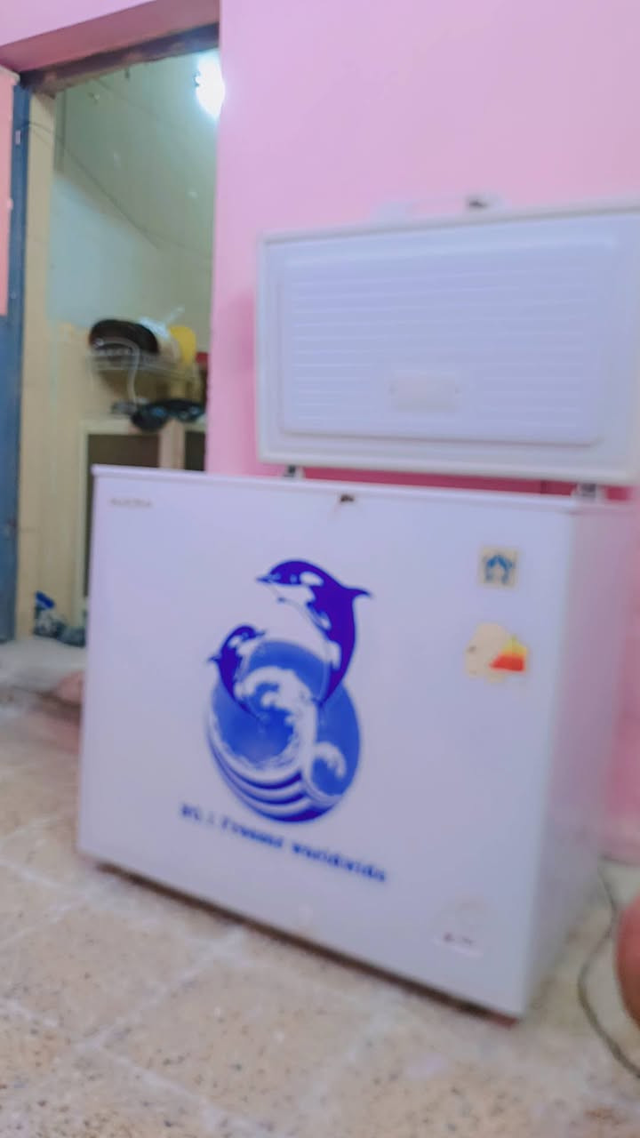 مجمدة ١٠ قدم • جديدة • قابل تفاوض