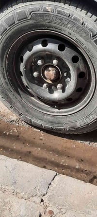 ويل ١٥ • تخم • مراوس