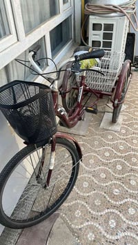 باسكال • جديد • شكد حجمه