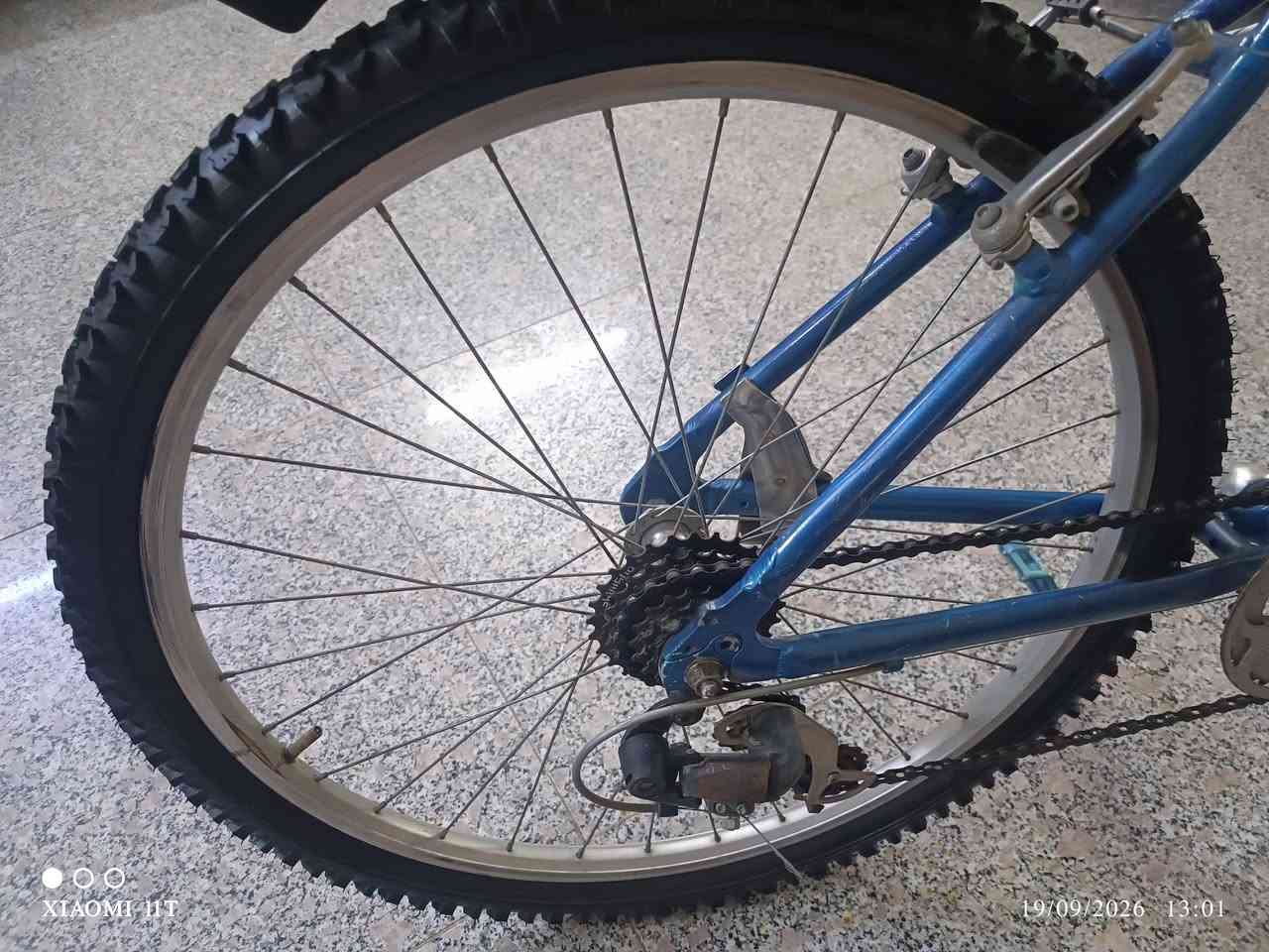 🚲 بايسكل جبلي قياس 26 بحالة جيدة – متعدد السرعات
الوصف:
للبيع بايسكل جبلي قياس 26 بحالة جيدة ونظيف كما موضح بالصور.
هيكل حديد قوي ومتين
غيارات متعددة السرعات
إطارات جبلية عريضة ونقشتها ممتازة
فرامل أمامية وخلفية
كرسي عريض ومريح
رفرف خلفي
ستاند جانبي
مناسب للاستخدام اليومي والرياضة والمشاوير
الدراجة على حالتها والصور حديثة وحقيقي. للاتصال على *********** واتساب

نص مكتوب في الصور:
- XIAOMI 11T 19/09/2026 13:01