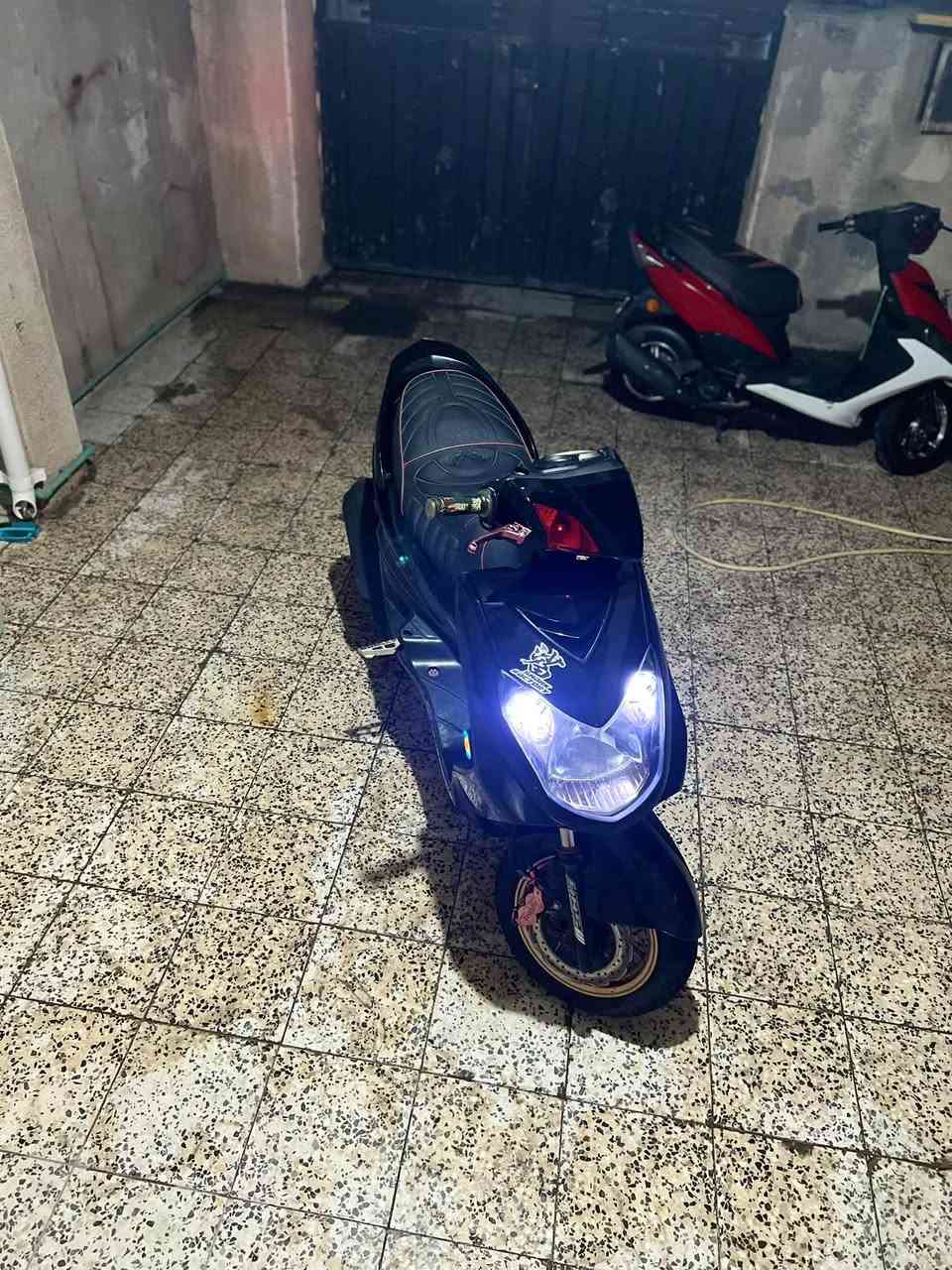 سكنس فحل • ٥٨ ونص • زنون