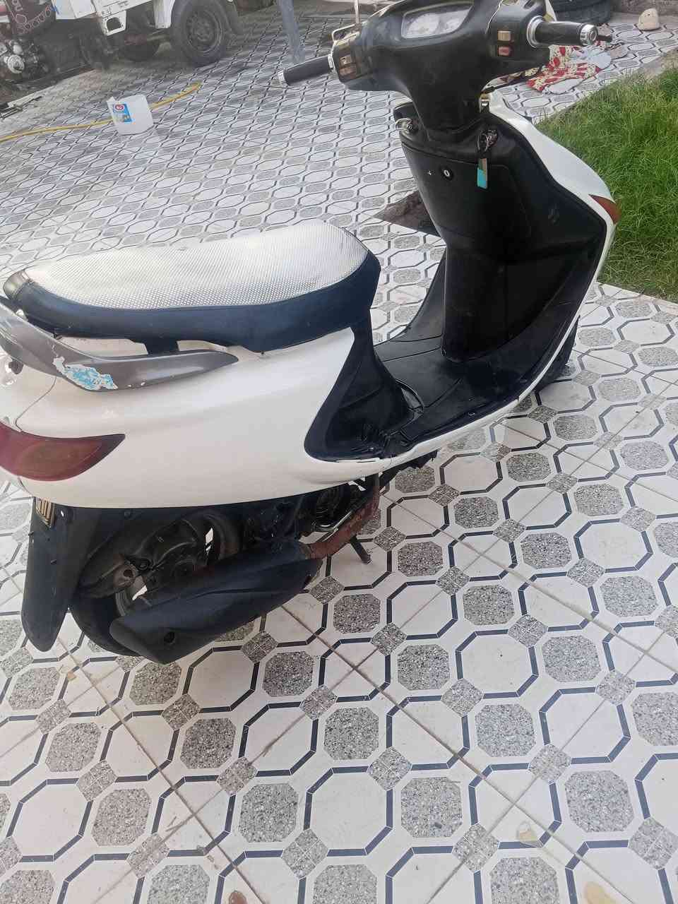 فراشة للبيع مكانها الديوانية ***********
