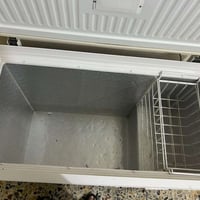 مجمدة • نقصه يد • الأمين الثانية